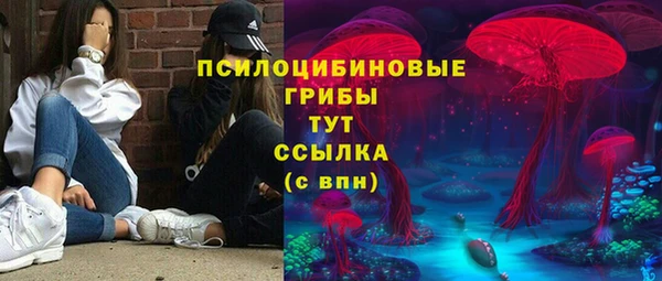 МДПВ Абаза